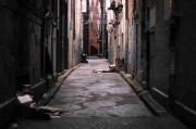 深扒·全景记录｜蘑菇影视在线观看｜进阶｜一文读懂，蘑菇影视官网下载
