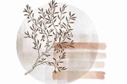 【鉴黄师免费观看】异次元舆论漩涡追本溯源 - 超前解锁，鉴黄师是什么单位