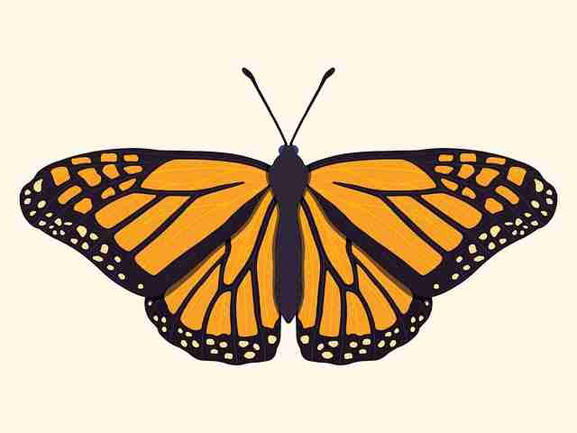 【p站官网入口】沉浸感创作范式解锁 - 幕后全开，p站ぽざにゃん