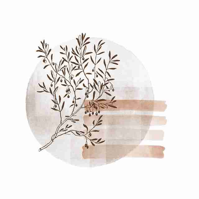 【鉴黄师免费观看】异次元舆论漩涡追本溯源 - 超前解锁,鉴黄师是什么单位